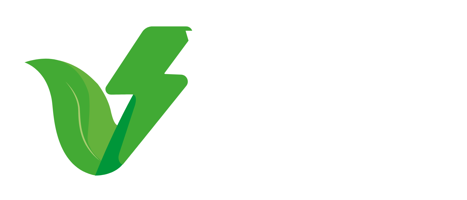 Verde Shot | Activa tu cuerpo, limpia tu sistema